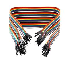 20CM Dişi-Erkek Jumper Kablo 40'lı