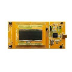 Nuvoton NT-NANO112V Nano112 ARM Cortex-M0 Geliştirme Kartı